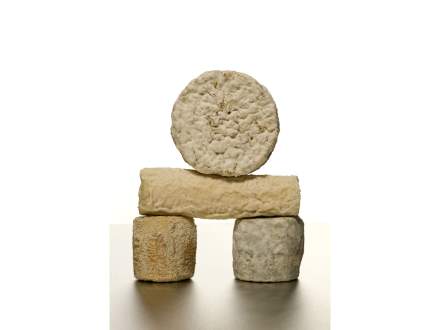 Fromageries Laurent Dubois - Meilleur Ouvrier de France - Paris - Chèvres