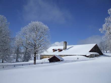 Fromageries Laurent Dubois - Meilleur Ouvrier de France - Paris - Paysage