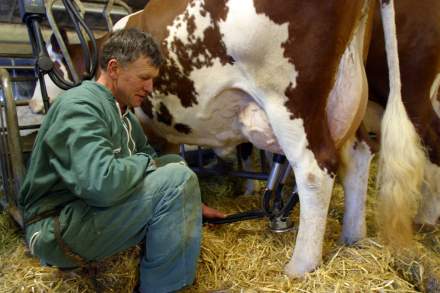 Fromageries Laurent Dubois - Meilleur Ouvrier de France - Paris - Agriculteur