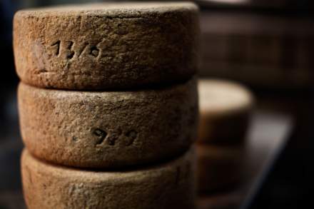 Fromageries Laurent Dubois - Meilleur Ouvrier de France - Paris - Meules fromages
