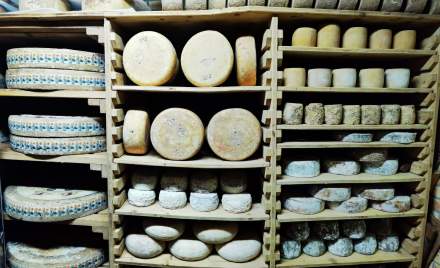 Fromageries Laurent Dubois - Meilleur Ouvrier de France - Paris - Stockage